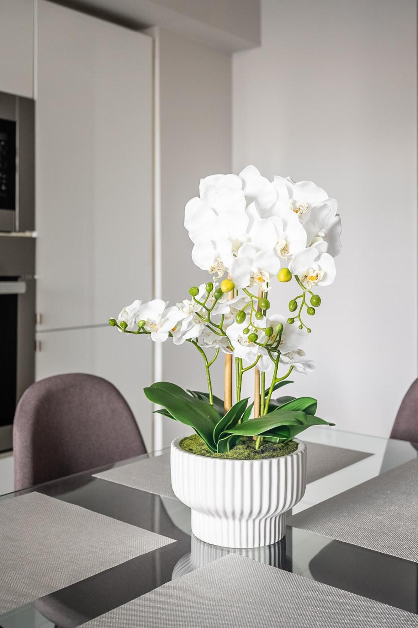 Globalstay Fabulous Toronto Condo Екстериор снимка